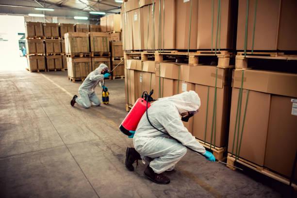 Reliable Fabrica, TX Pest Control Solutions