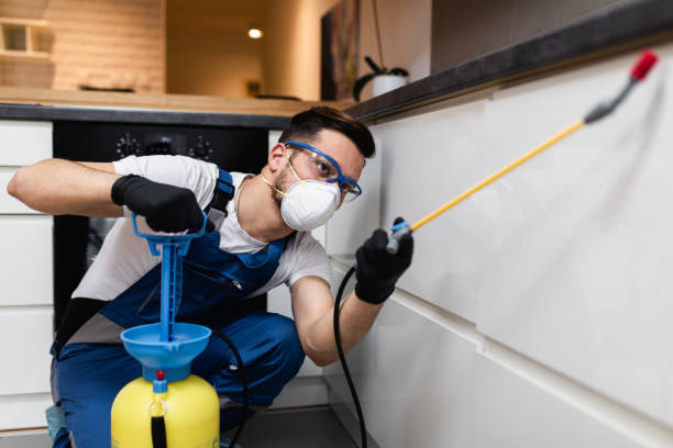 Wasp Removal Services in Fabrica, TX