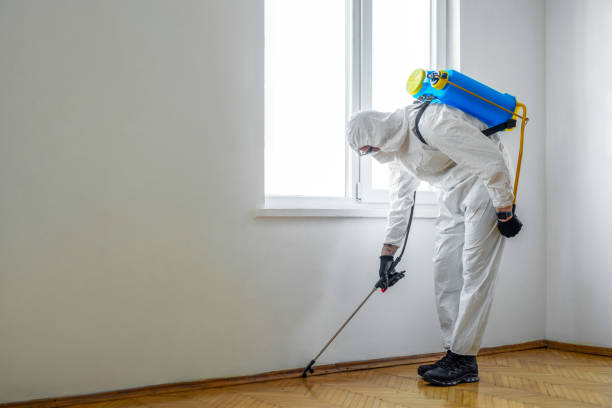Best Best Pest Control Companies  in Fabrica, TX
