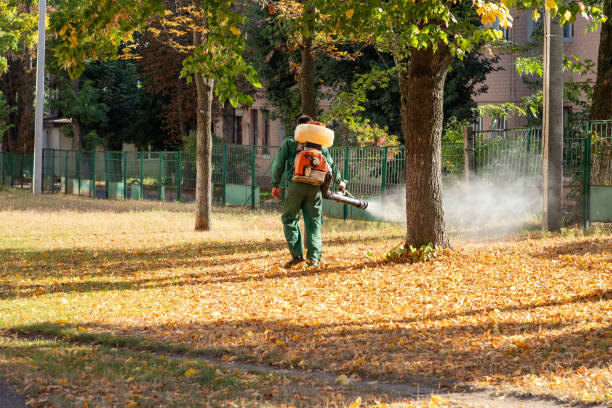 Best Pest Removal Services  in Fabrica, TX