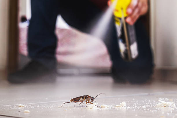 Best Affordable Pest Control Services  in Fabrica, TX